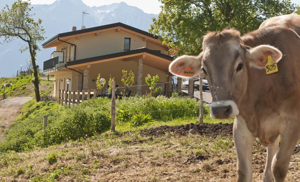 Agriturismo Al Franet トレモージネ エクステリア 写真