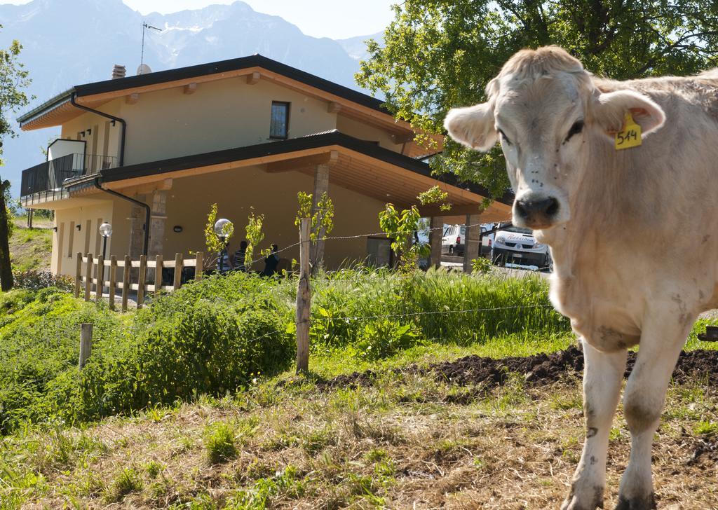 Agriturismo Al Franet トレモージネ エクステリア 写真