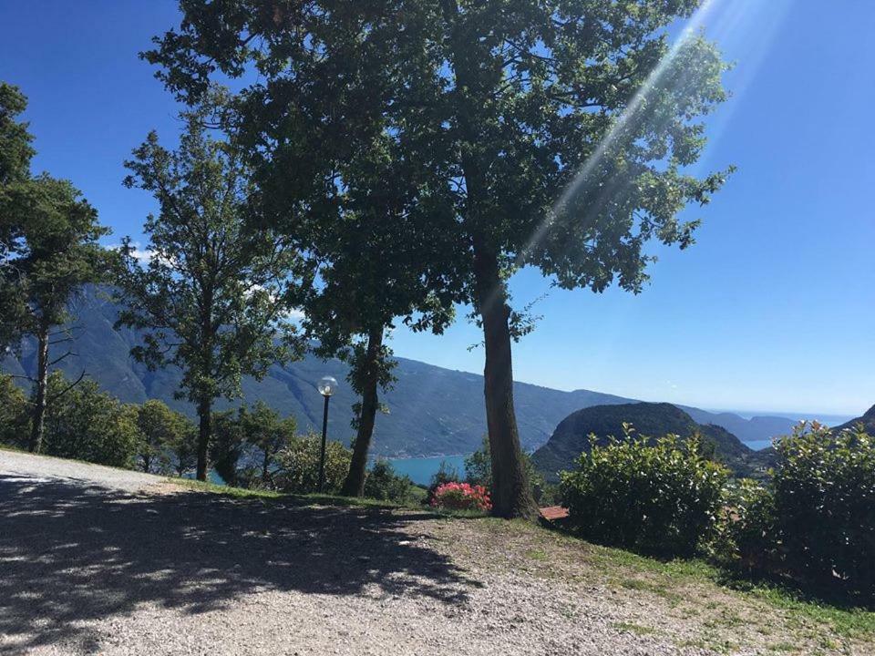 Agriturismo Al Franet トレモージネ エクステリア 写真